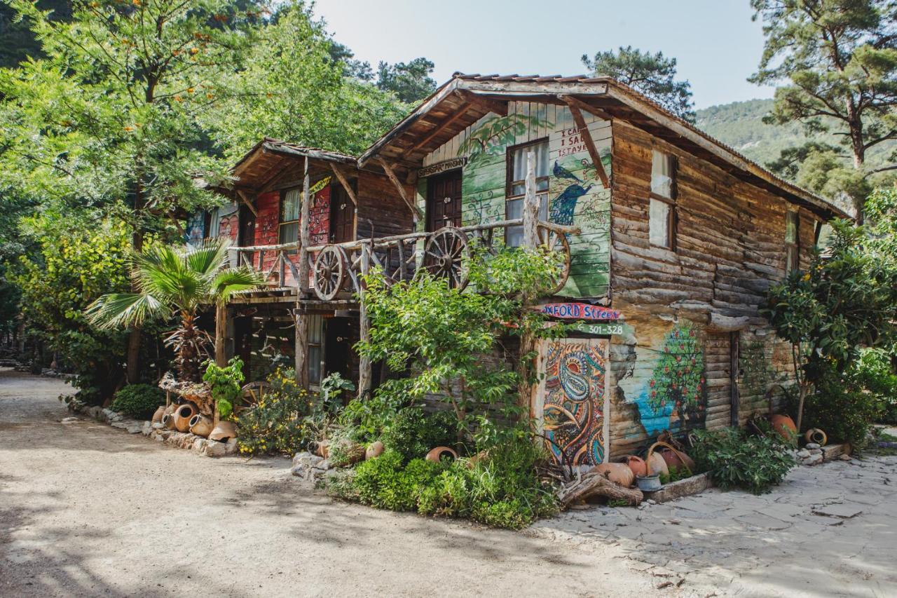 Kadir's Tree Houses Vandrarhem Olympos